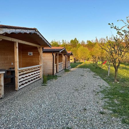 La Cabanute Villa Sibiu Buitenkant foto