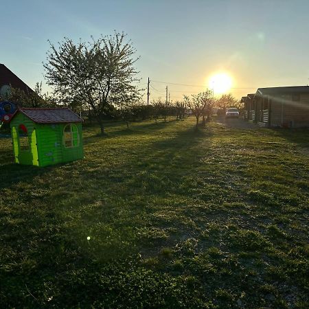 La Cabanute Villa Sibiu Buitenkant foto