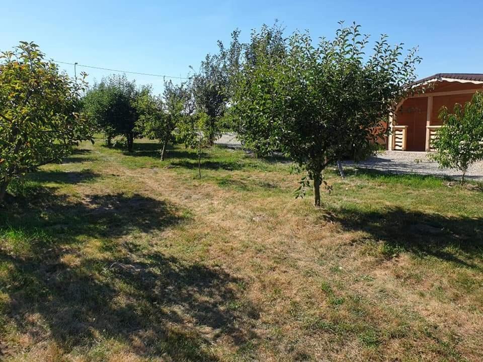 La Cabanute Villa Sibiu Buitenkant foto