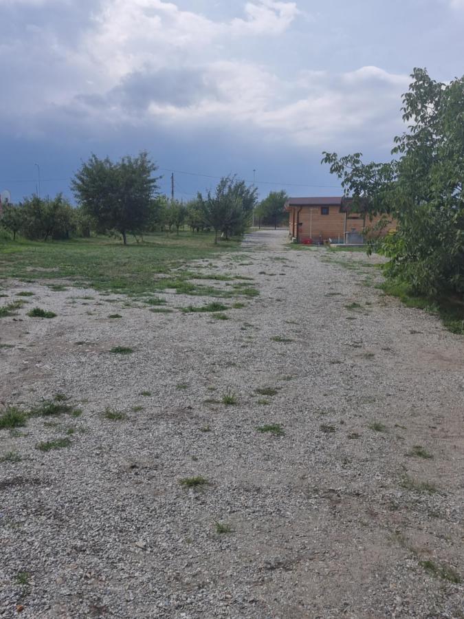 La Cabanute Villa Sibiu Buitenkant foto