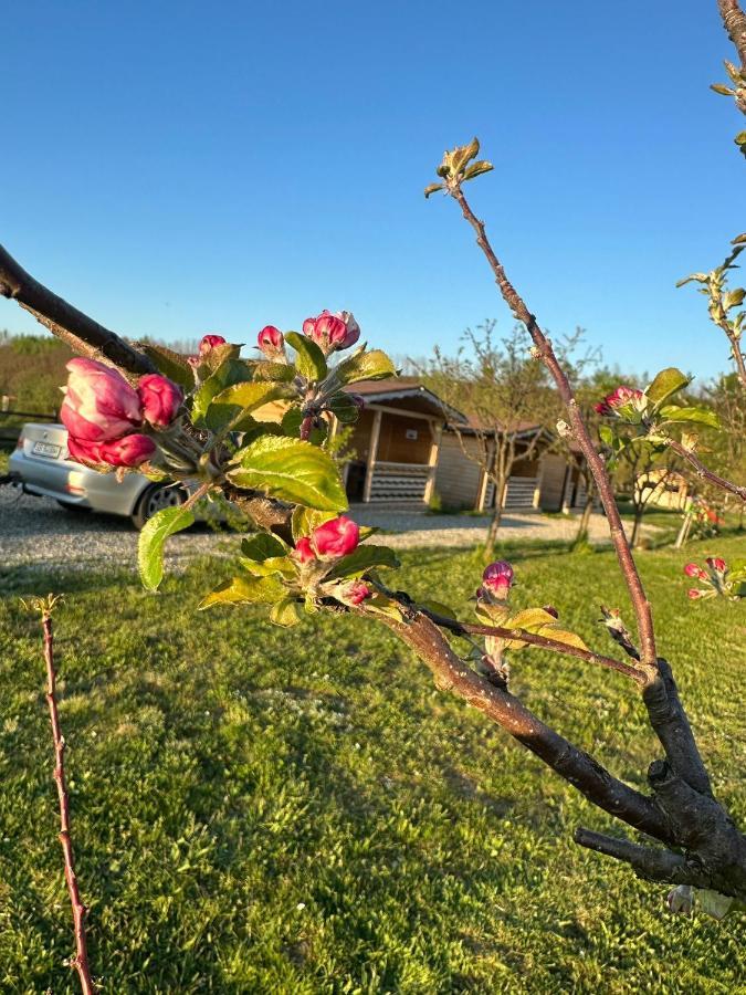 La Cabanute Villa Sibiu Buitenkant foto