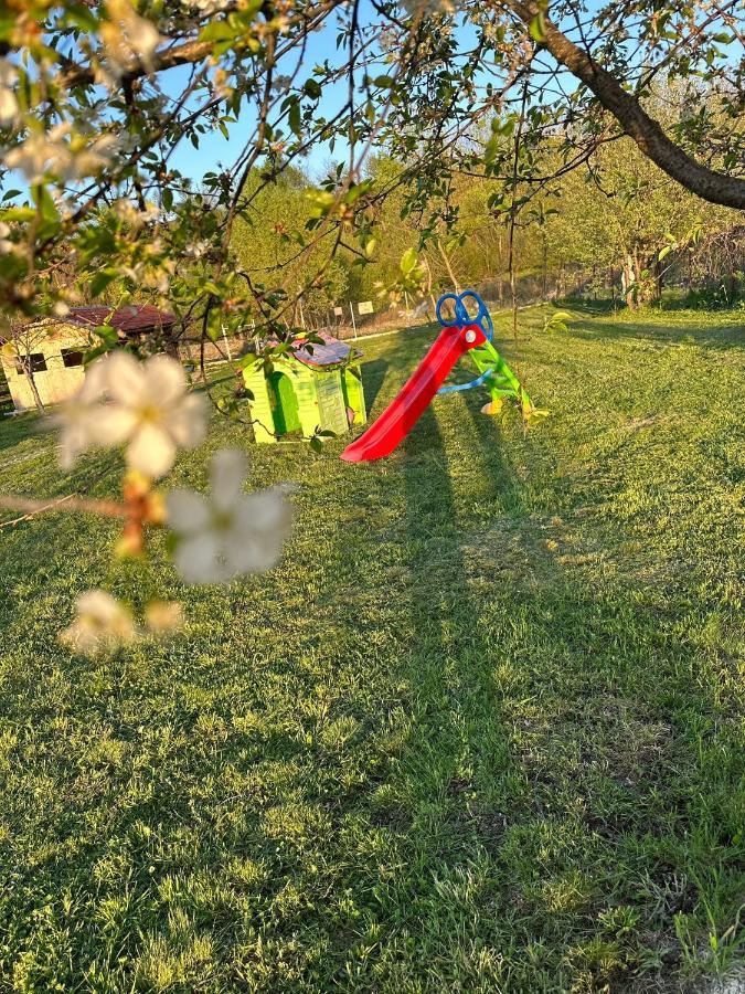 La Cabanute Villa Sibiu Buitenkant foto