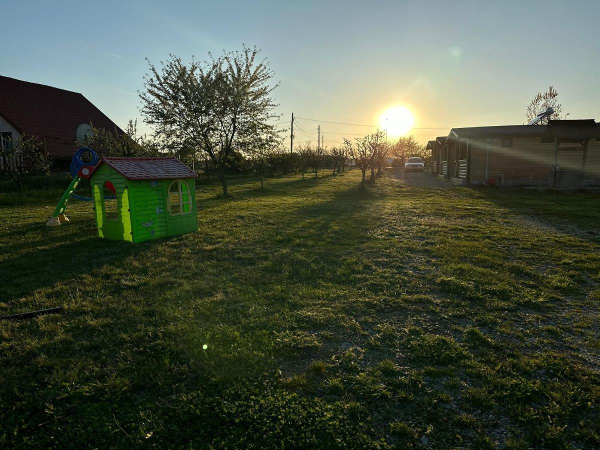 La Cabanute Villa Sibiu Buitenkant foto
