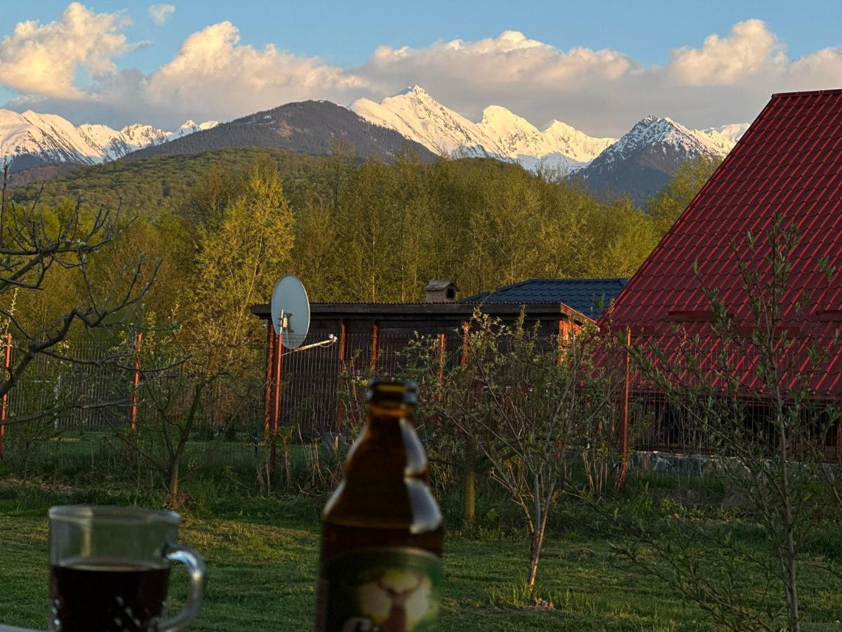 La Cabanute Villa Sibiu Buitenkant foto